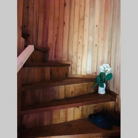 Cetmibasi Aglea Dag Evi Ayvacık
