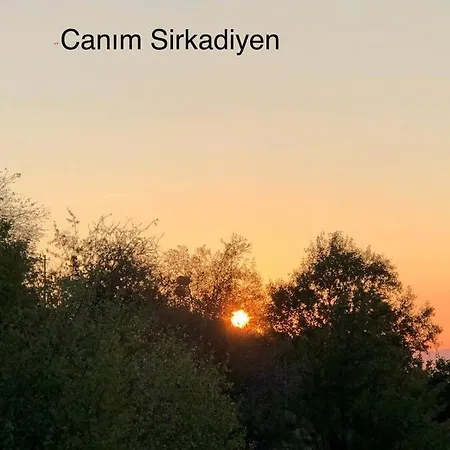 Alpesi faház Cetmibasi Aglea Dag Evi