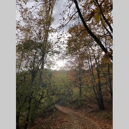 Cetmibasi Aglea Dag Evi Alpesi faház *